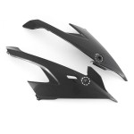 FULLSIX CARBON BOCZNA OWIEWKA BMW S1000RR 2019- 