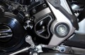 cp06-copri-pignone-x1diavel.jpg