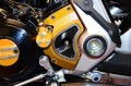 cp06-copri-pignone1-xdiavel.jpg