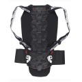 Furygan-Dorsale-Racing-D30-back-back.jpg