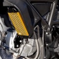 gr03-Bscrambler-protezione-radiatore-olio.jpg