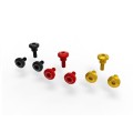 kvt27-sfv2-swingarm-screw-kit.jpg