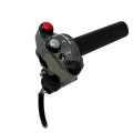 additional-han1dlebar-switch-for-throttle-control-acc-120-ducati.jpg