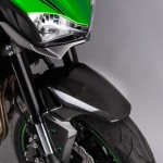 LIGHTECH PRZEDNI BŁOTNIK CARBON KAWASAKI Z900 POŁYSK