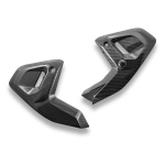 DBK PANELE BOCZNE CARBON BMW R1300GS