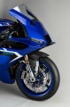 CARY0910_MOUNTED_1.jpg