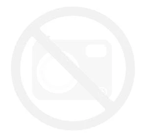 BONAMICI RACING PROTEKTOR WYŚWIETLACZA HONDA CBR 600RR 2024 (1)