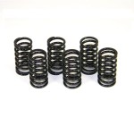 DUCABIKE ZESTAW 6 SPRĘŻYN SPRZĘGŁA 