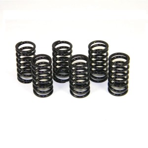 DUCABIKE ZESTAW 6 SPRĘŻYN SPRZĘGŁA 